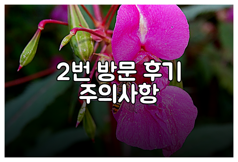 2번 방문 후기 주의사항