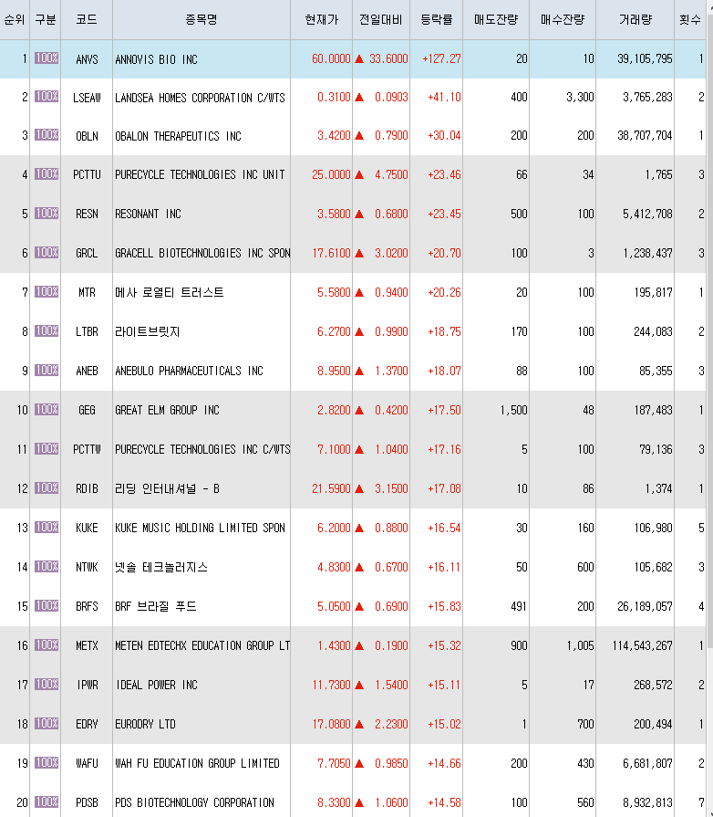  5월21일 미국주식 상승률 상위 종목 TOP 300