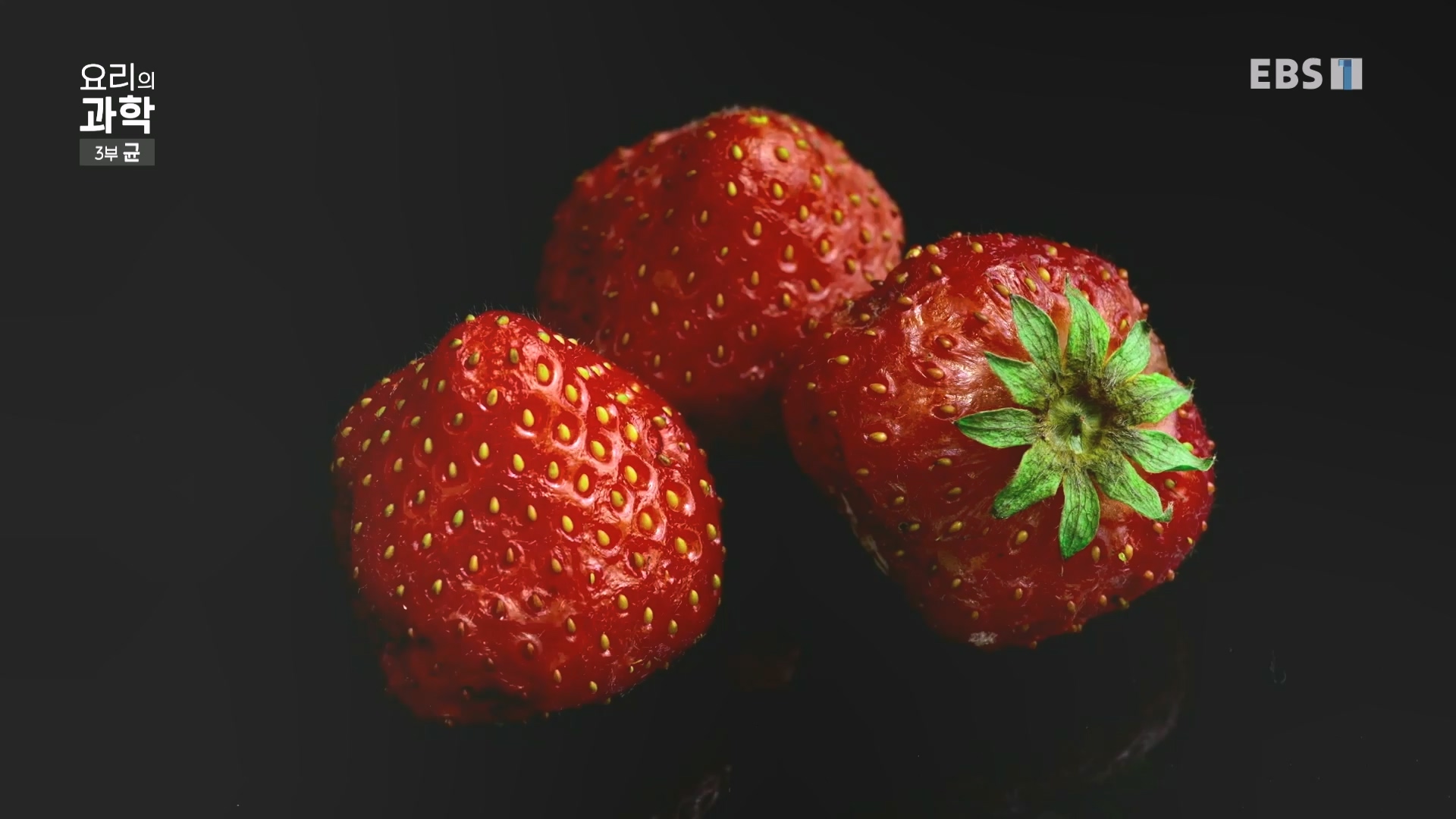 EBS 다큐프라임.201207.요리의 과학 - 3부 균0p.mp4_20240411_202627.319.jpg