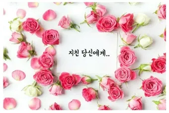 생일을 맞은 아내에게 보내는 편지 문구 모음_25