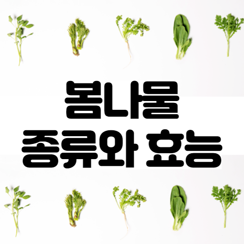 봄나물 종류, 효능, 먹는법
