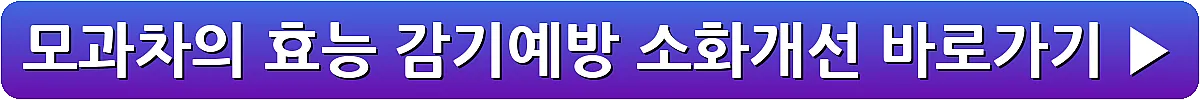 모과차의 효능 감기예방 소화개선_19