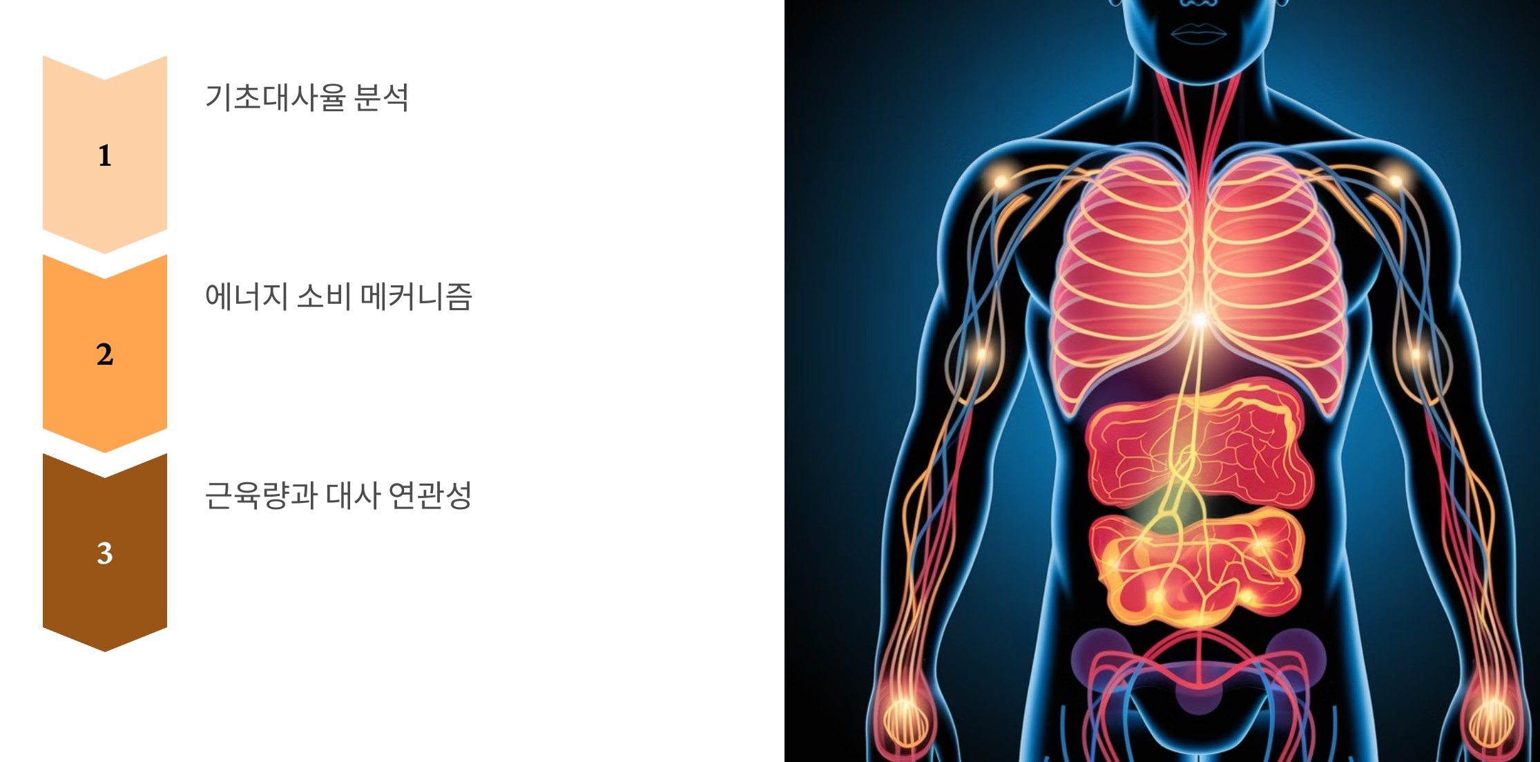 단백질 파워업 전략