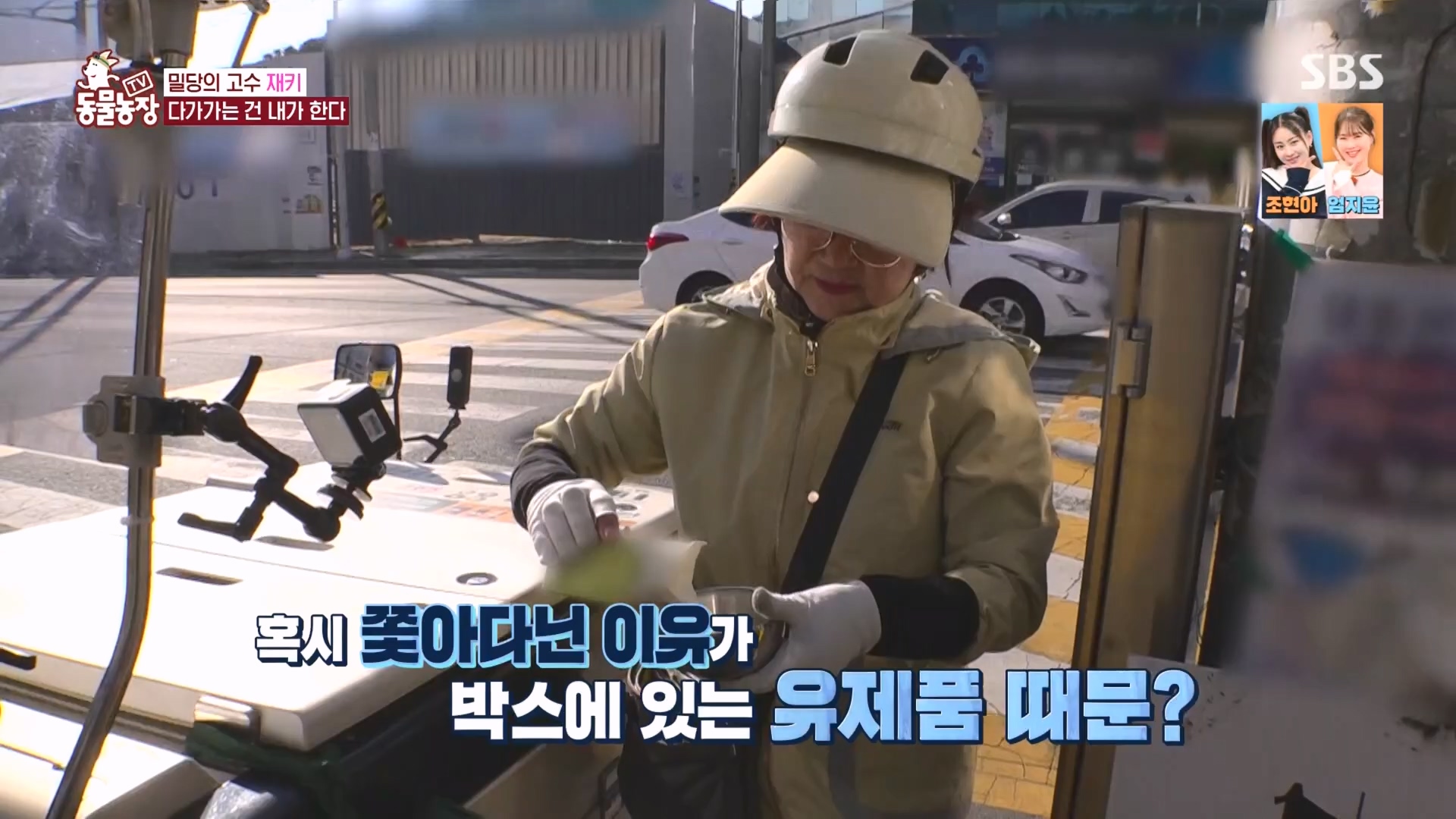 TV 동물농장.E1149.231210p.H264-F1RST.mp4_20231210_171111.926.jpg
