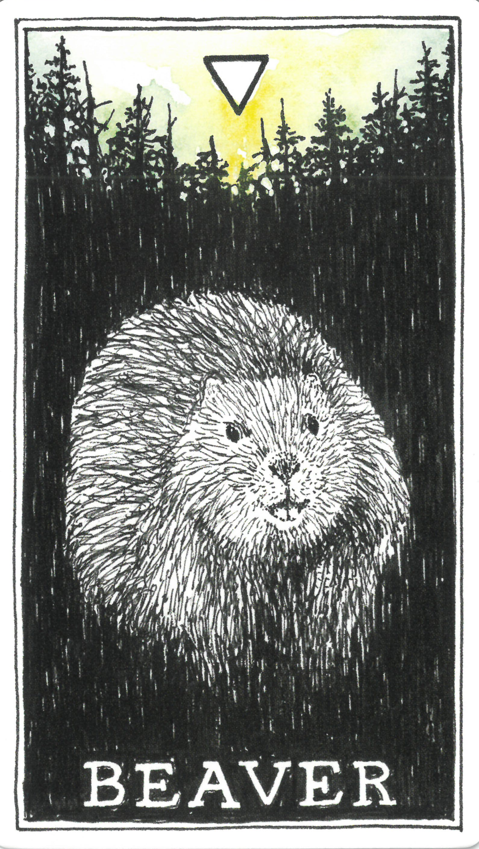 The Wild Unknown Animal Spirit Beaver 비버