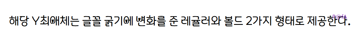 Y최애체 살펴보기 4