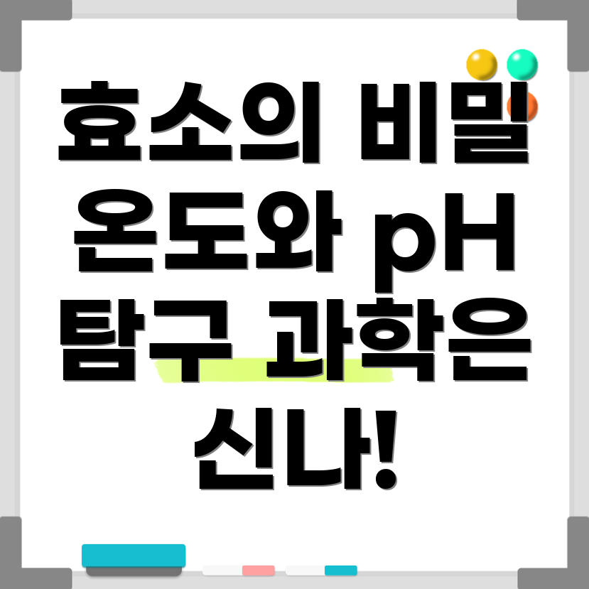 효소