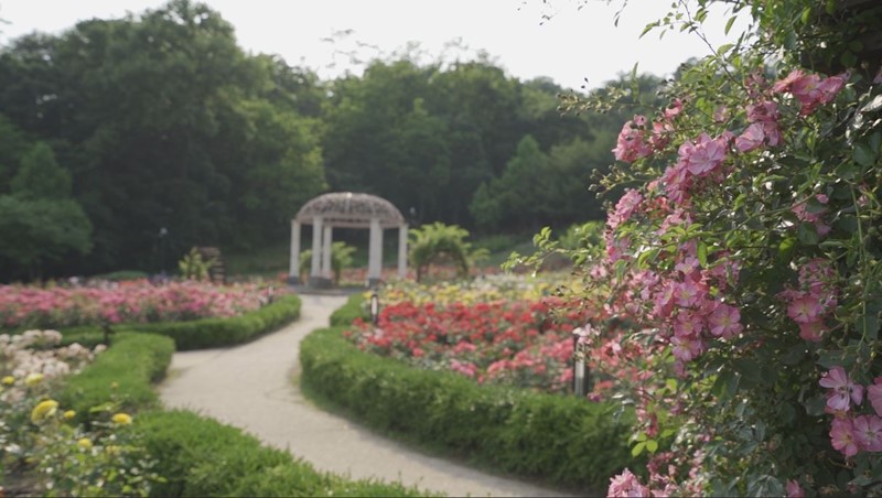 장미공원