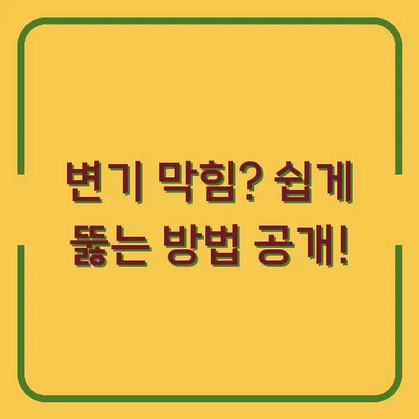 변기 막힘? 쉽게 뚫는 방법 공개!