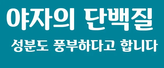 야자의 단백질 성분도 풍부하다고 합니다