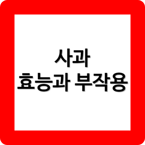 사과의효능