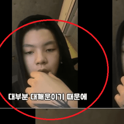  노엘 막말 논란 대깨문은 벌레