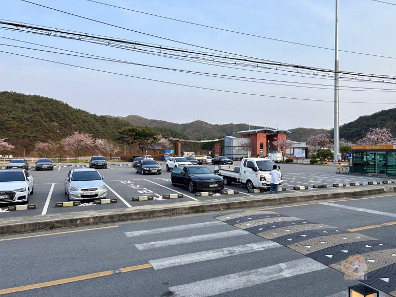 마곡사 미식정두부전골 3