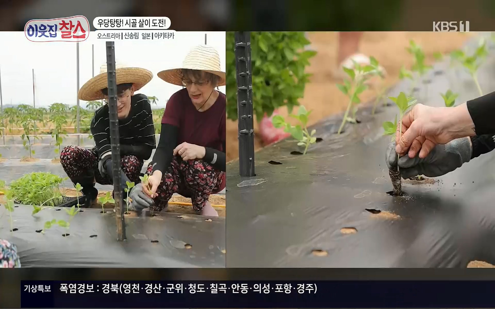 이웃집 찰스.E349.220802p.H264-F1RST.mp4_20220803_205123.680.jpg