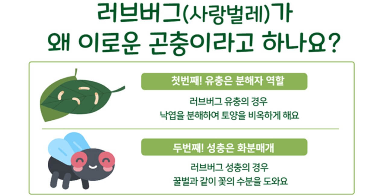 러브버그(사랑벌레)가 왜 익충이죠?