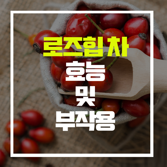  비타민이 레몬에 60배, 피부관리의 탑클래스! '로즈힙'차 효능 및 부작용