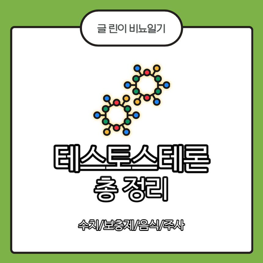  테스토스테론 총 정리 : 수치/보충제/음식/주사