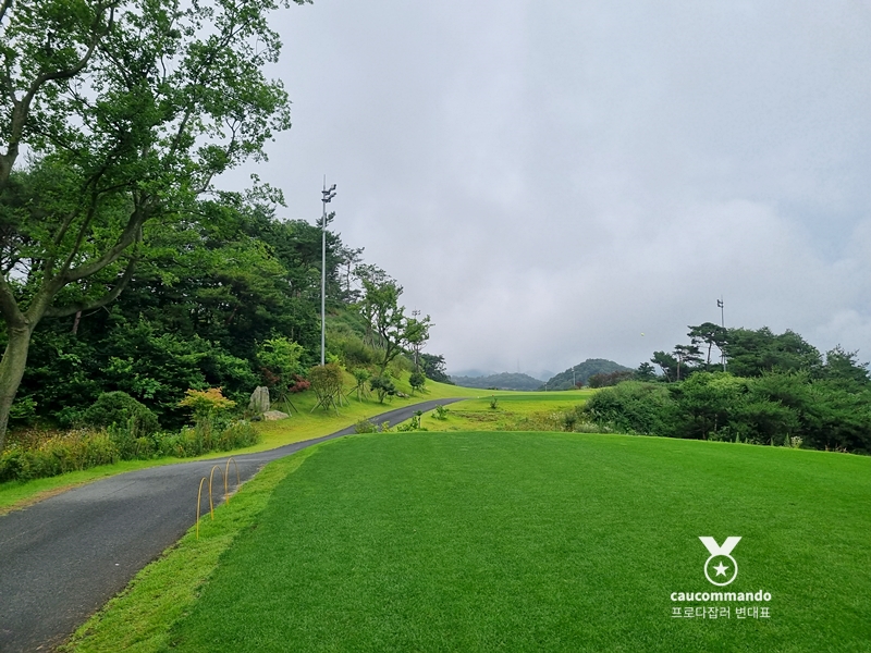 연예인 골프 순위 연예인들이 참여하는 21
