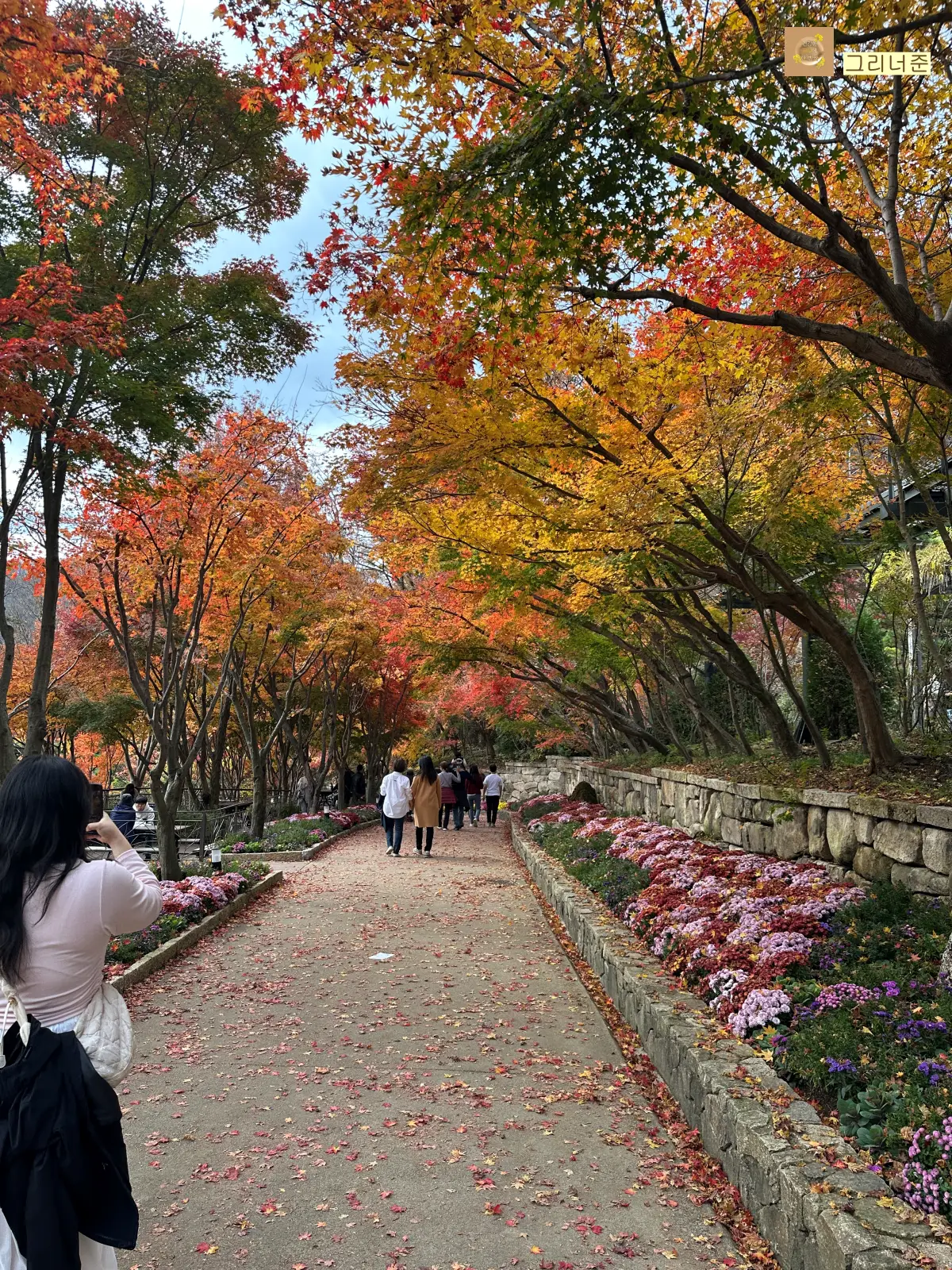 분재원-단풍길