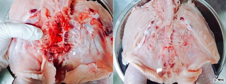 삼계탕 끓이는 법, 닭백숙 만드는 법(삶는시간) 삼계탕 끓이는 법, 닭백숙 만드는 법(삶는시간)