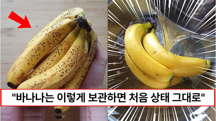 “처음 상태 그대로 보관할 수 있습니다” 과일가게 주인이 알려주는 바나나 변색 없이 오래 보관하는 방법