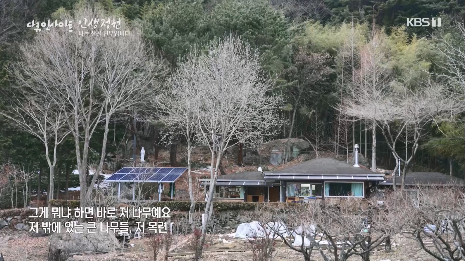 다큐 인사이트.E153.230608p.H264-F1RST.mp4_20230612_203942.001.jpg