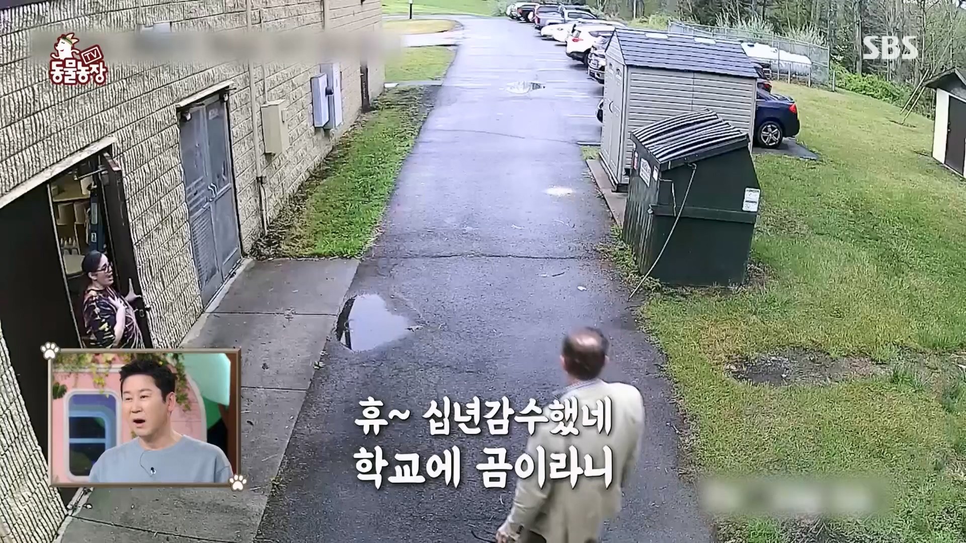 TV 동물농장.E1165.240331p.H264-F1RST.mp4_20240331_144343.122.jpg