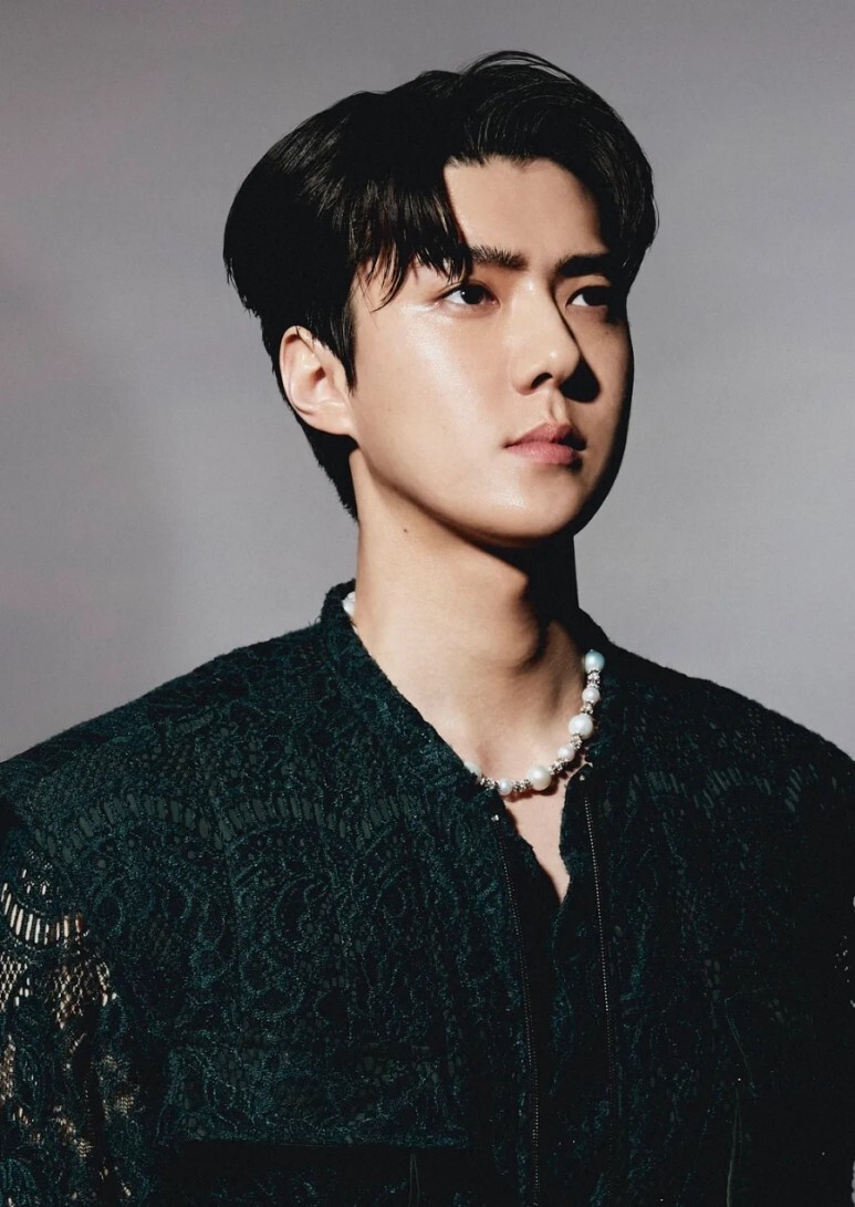  엑소 세훈 혼전임신설 소속사 부인 법적대응 예고 무슨일