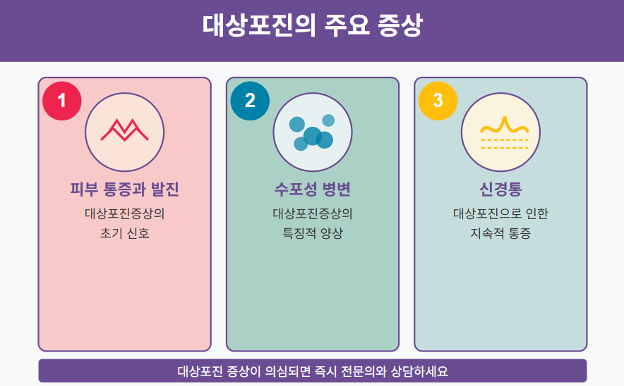 대상포진 예방과 관리 대상포진예방접종의 완벽 가이드 2