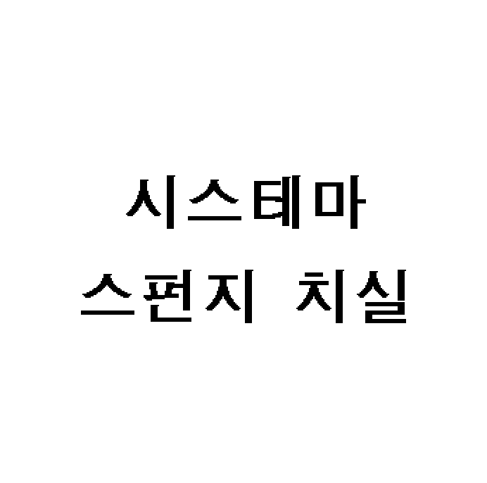 시스테마 스펀지 치실