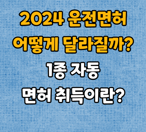 2024년 운전면허제도