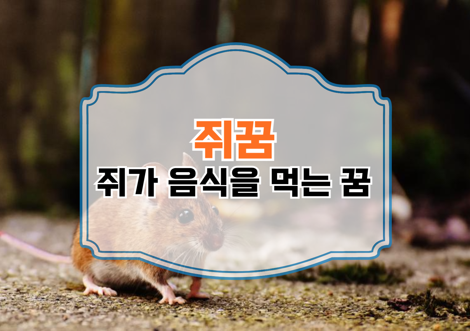 쥐가 음식을 먹는 꿈