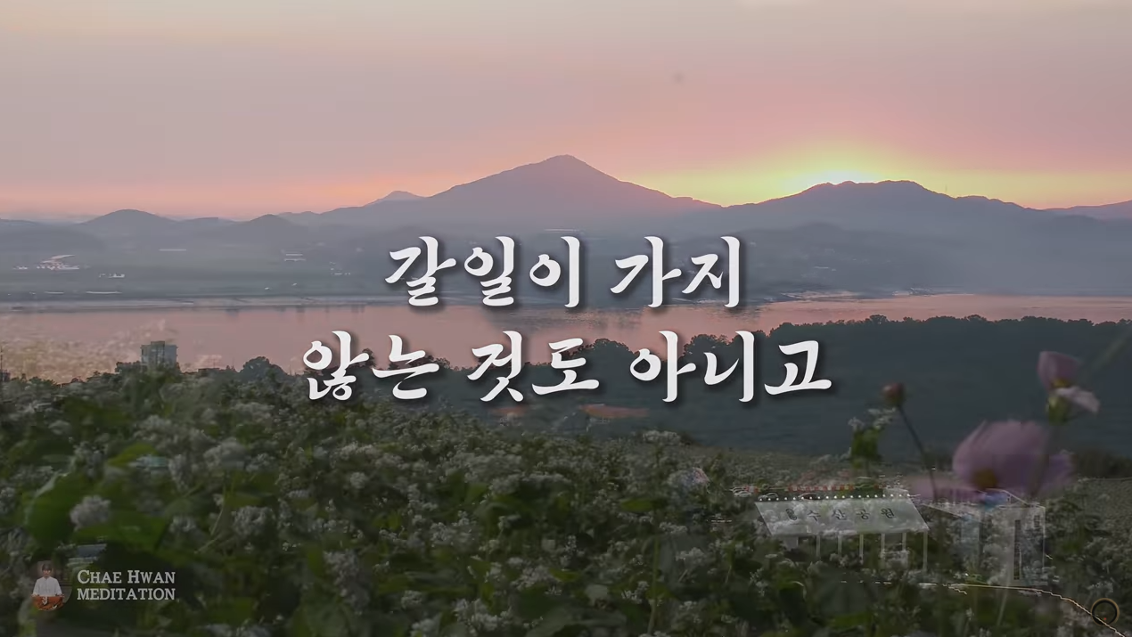  마음챙김. 너무 애쓰지 마라.