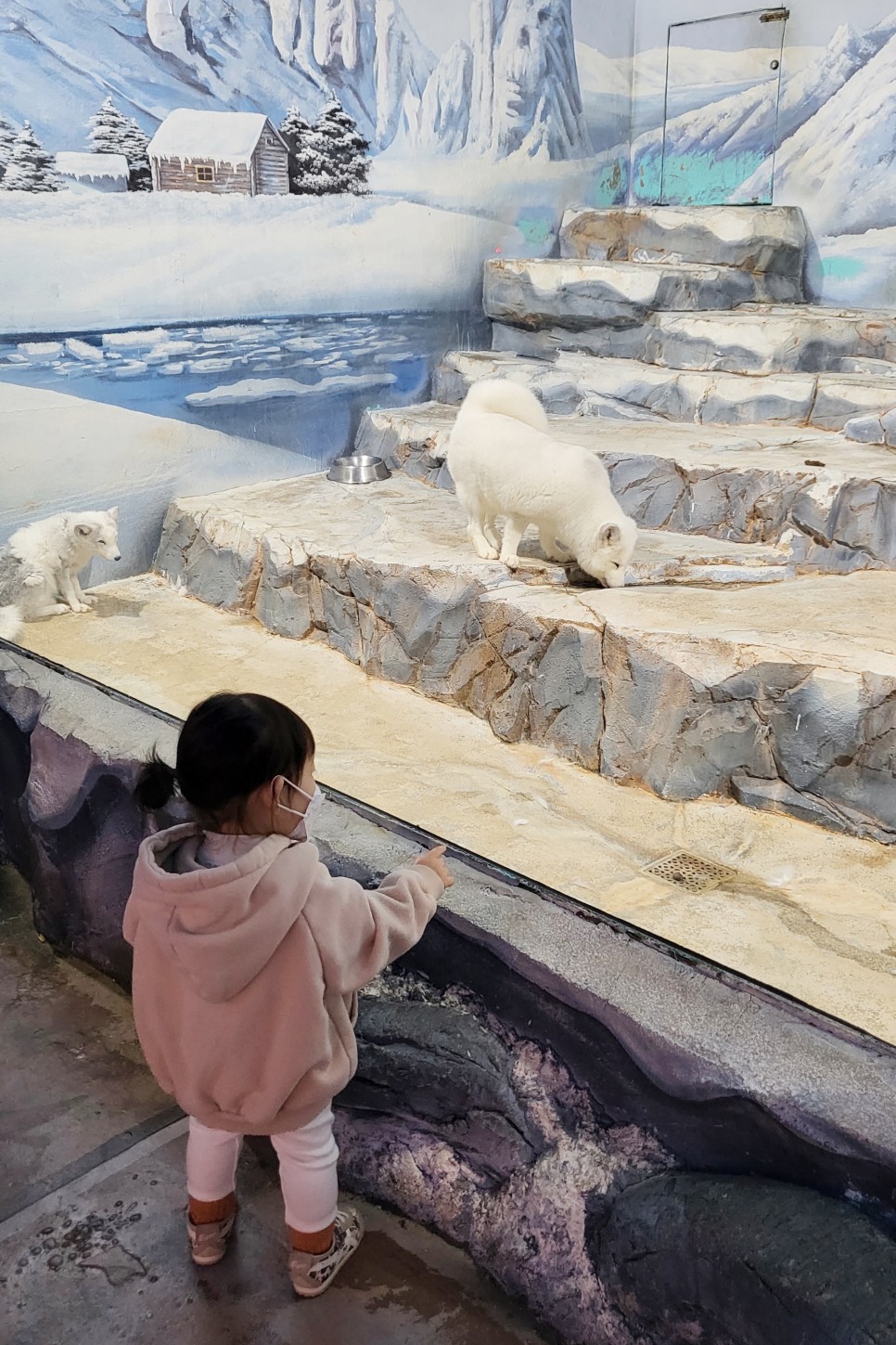 부천 아쿠아리움 부천 아쿠아리움먹이주기 체험 20