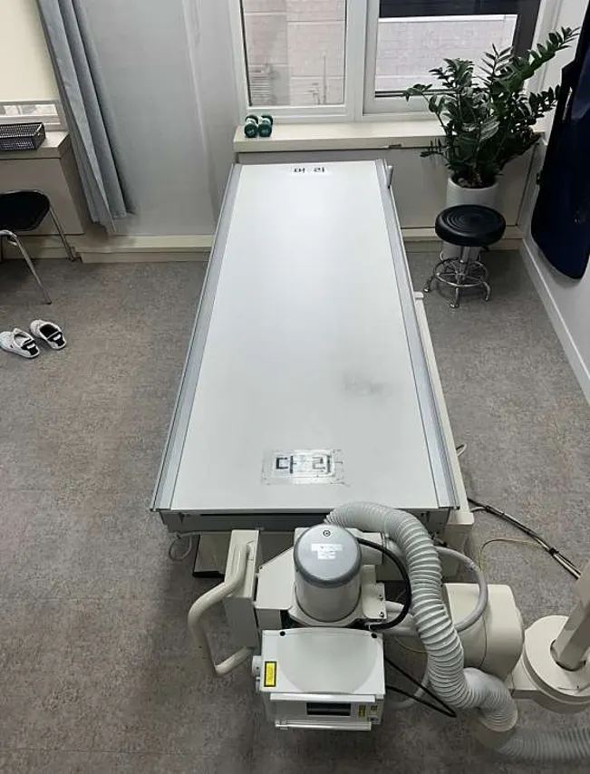 이끼터널