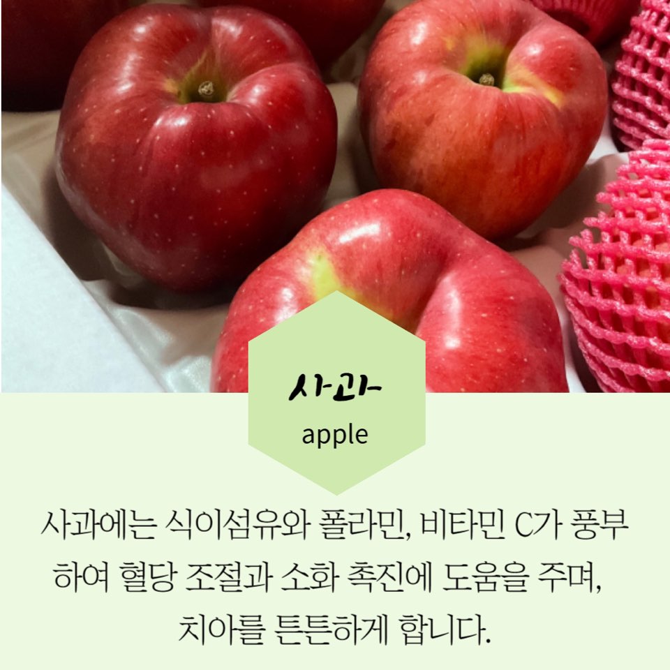 9월제철과일