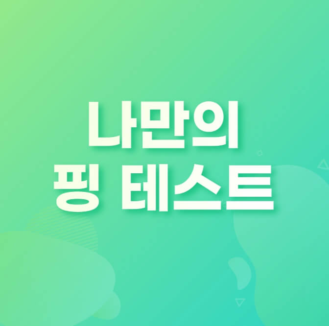 나만의 핑 테스트