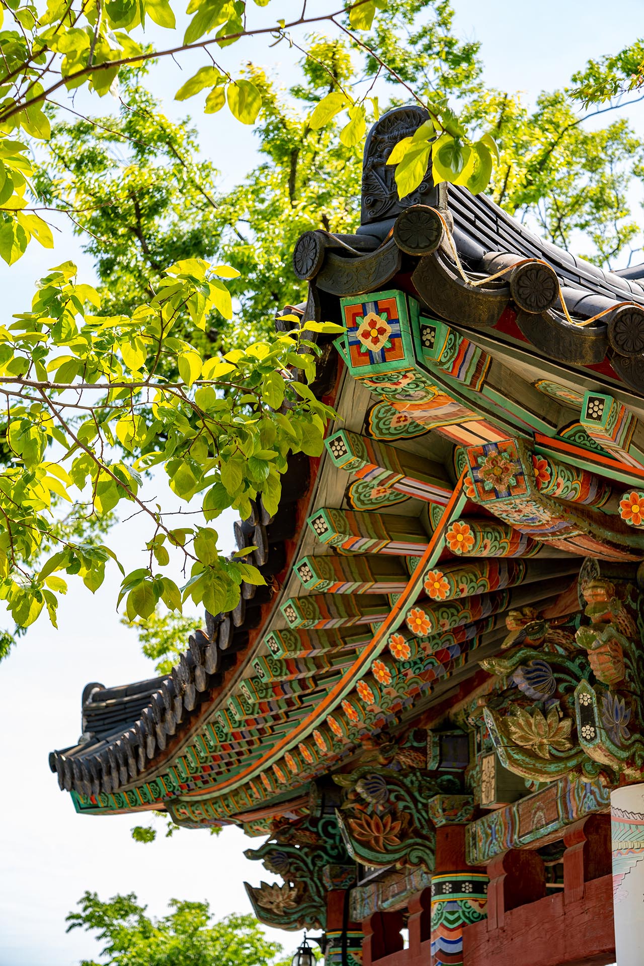 경북 경주 분황사 - 모전석탑 청보리 양귀비 - 분황사 모습 경주 분황사