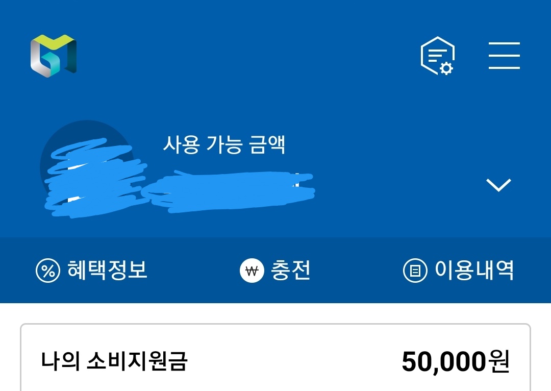 경기지역화폐 삼성페이 등록 방법 (+비밀번호 등록 오류 해결 방법) 경기지역화폐 삼성페이 등록 방법 (+비밀번호 등록 오류 해결 방법)
