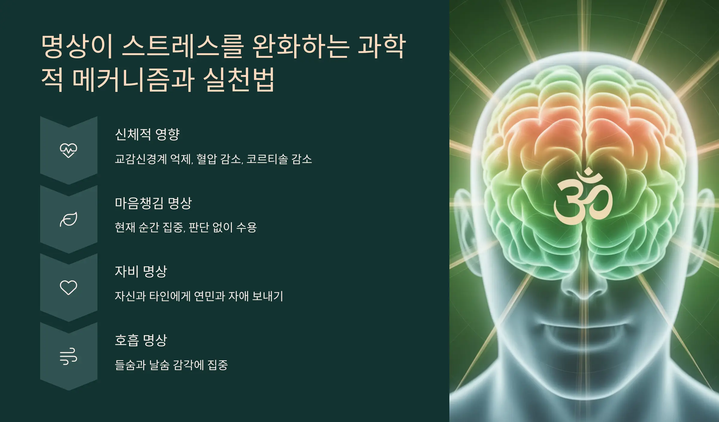 명상이 스트레스를 완화하는 과학적 메커니즘과 실천법