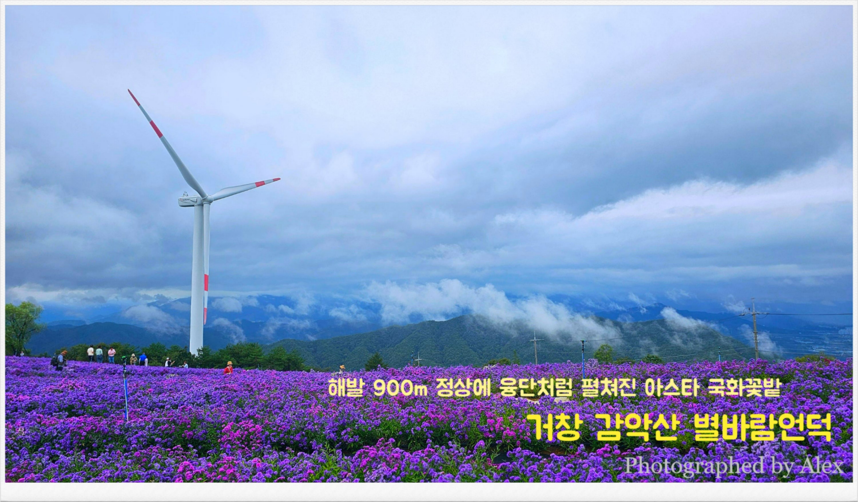 별언덕 이미지