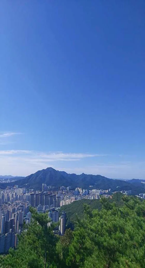 APAP전망대