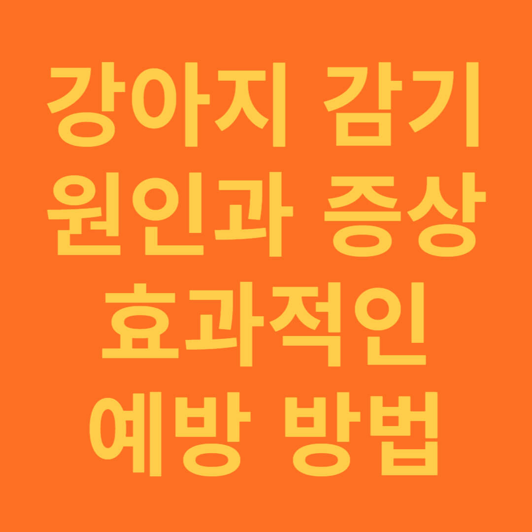 강아지 감기 원인과 증상&#44; 효과적인 예방 방법