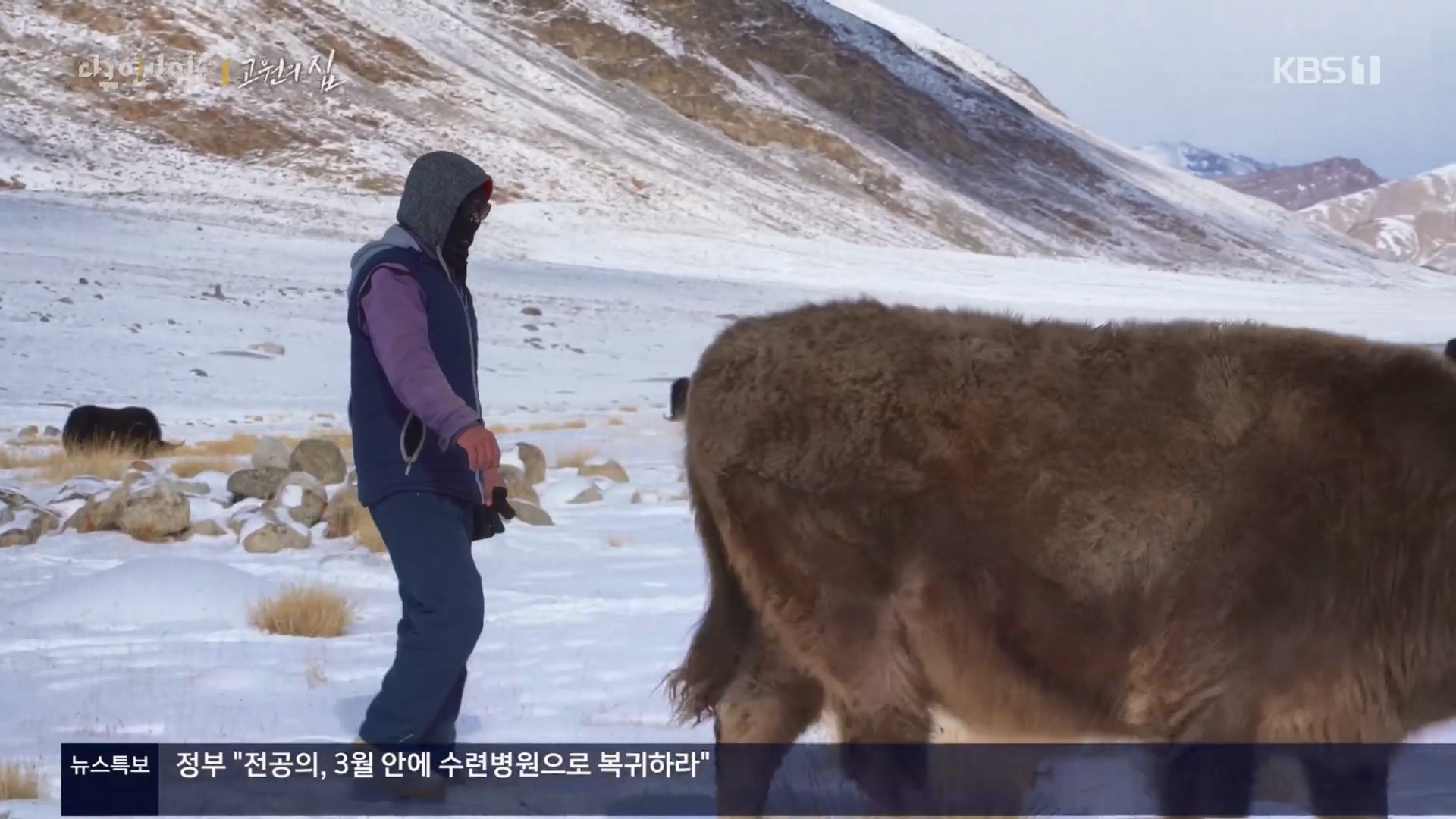 다큐 인사이트.E176.240328p.H264-F1RST.mp4_20240330_162658.867.jpg