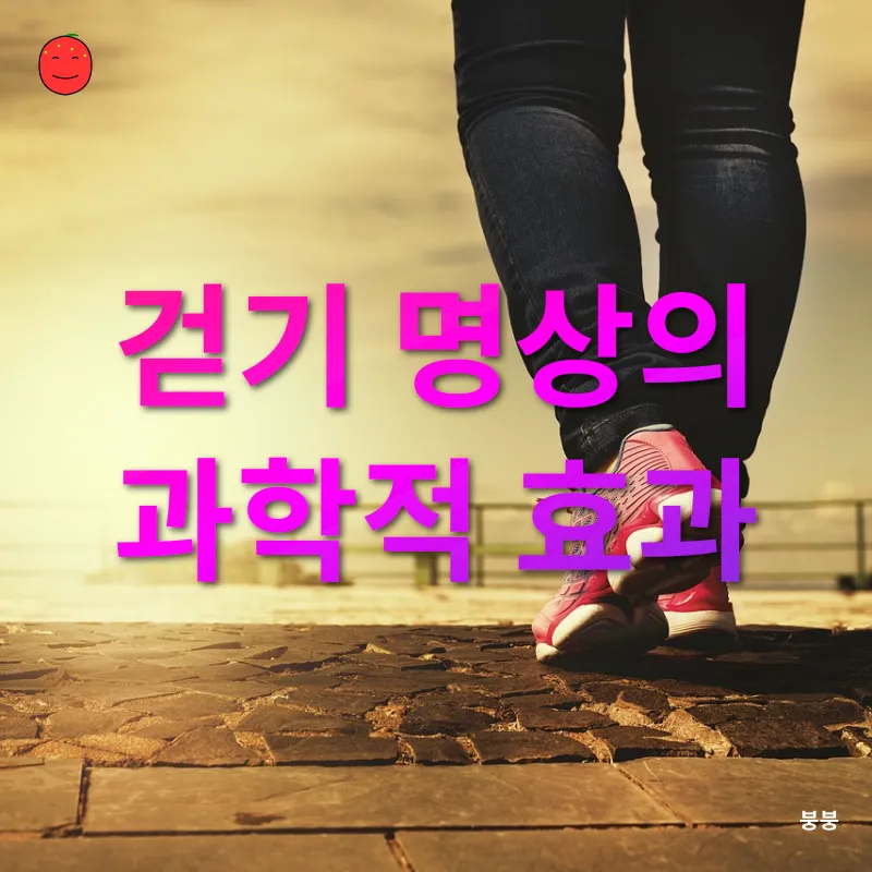 코모로 섬 여행_1