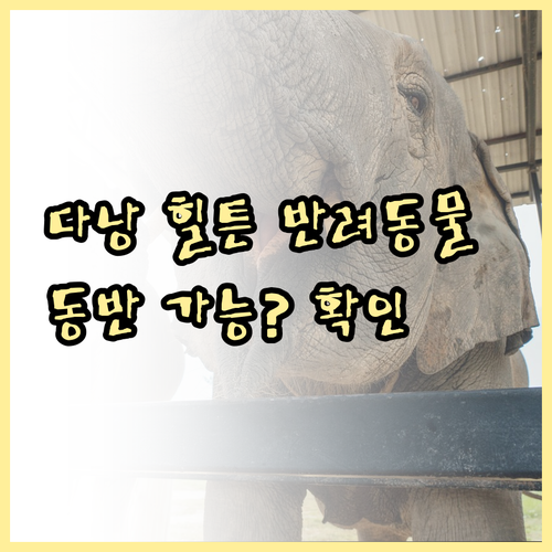 힐튼 가든 인 다낭 반려동물 동반 가