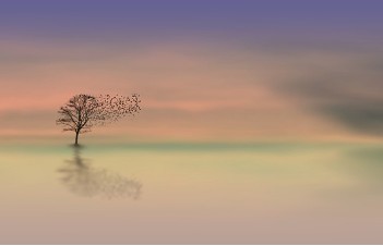 img.jpg
