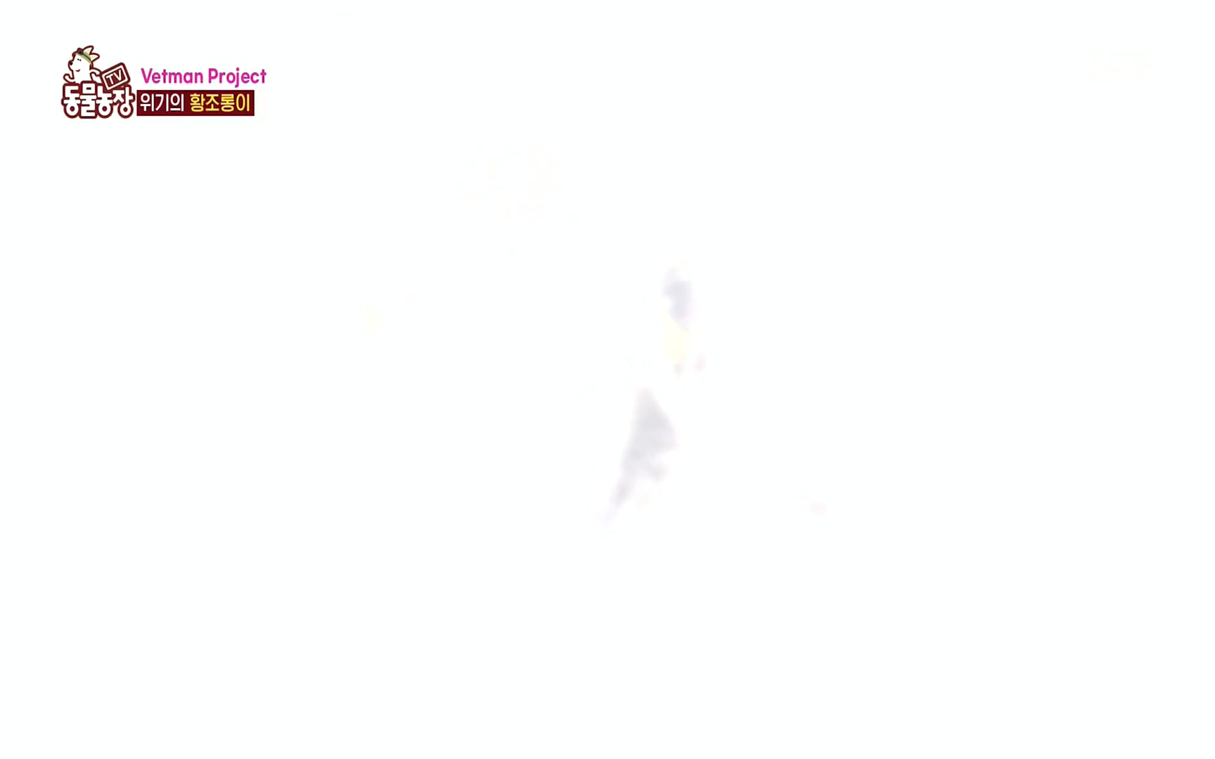 TV 동물농장.E1081.220807p.H264-F1RST.mp4_20220807_213629.398.jpg