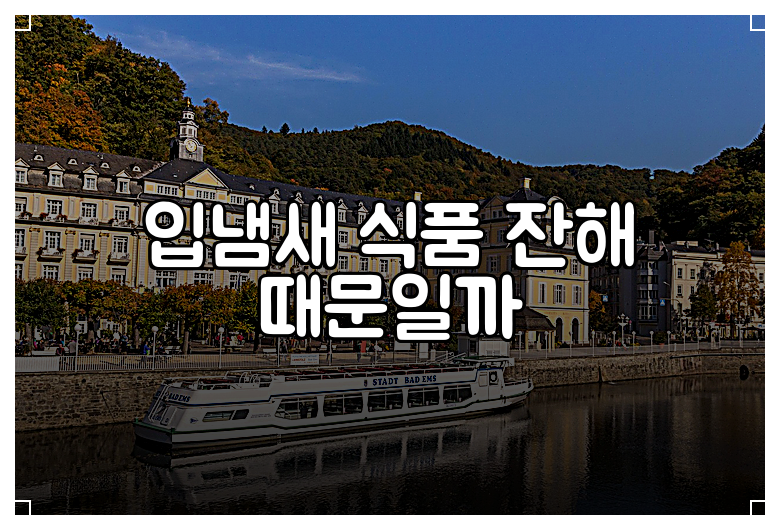 입냄새 식품 잔해 때문일까