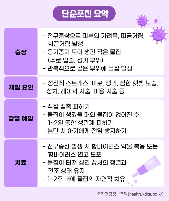 헤르페스 단순포진 입술물집